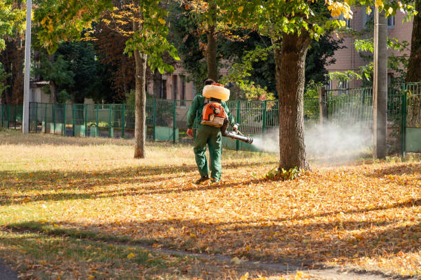 Best Best Pest Control Companies  in Mayer, MN